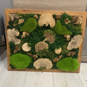 Machový obraz- Lesná stopa