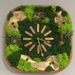 Machové hodiny Bark