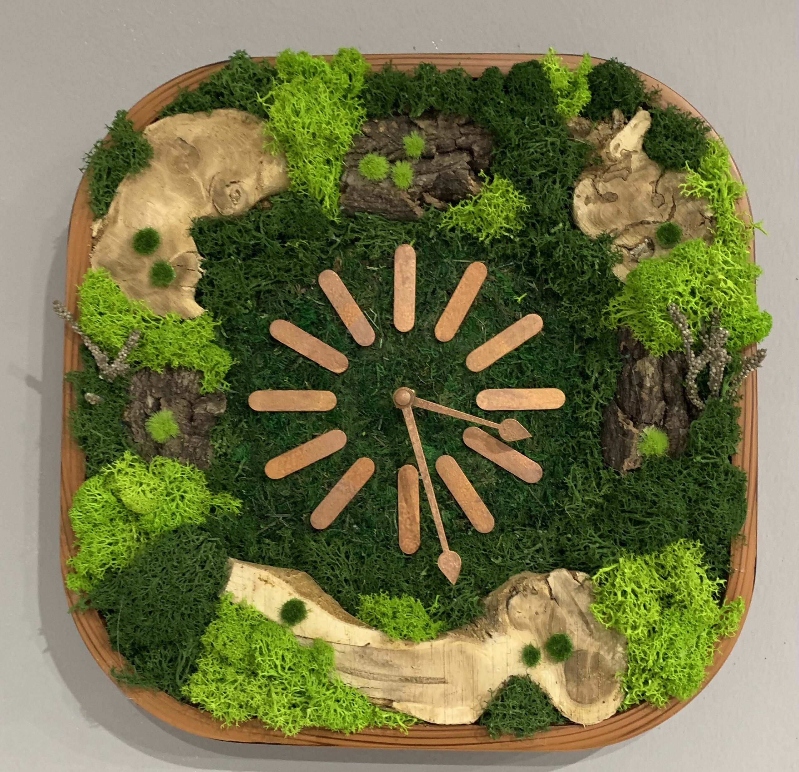 Machové hodiny Bark