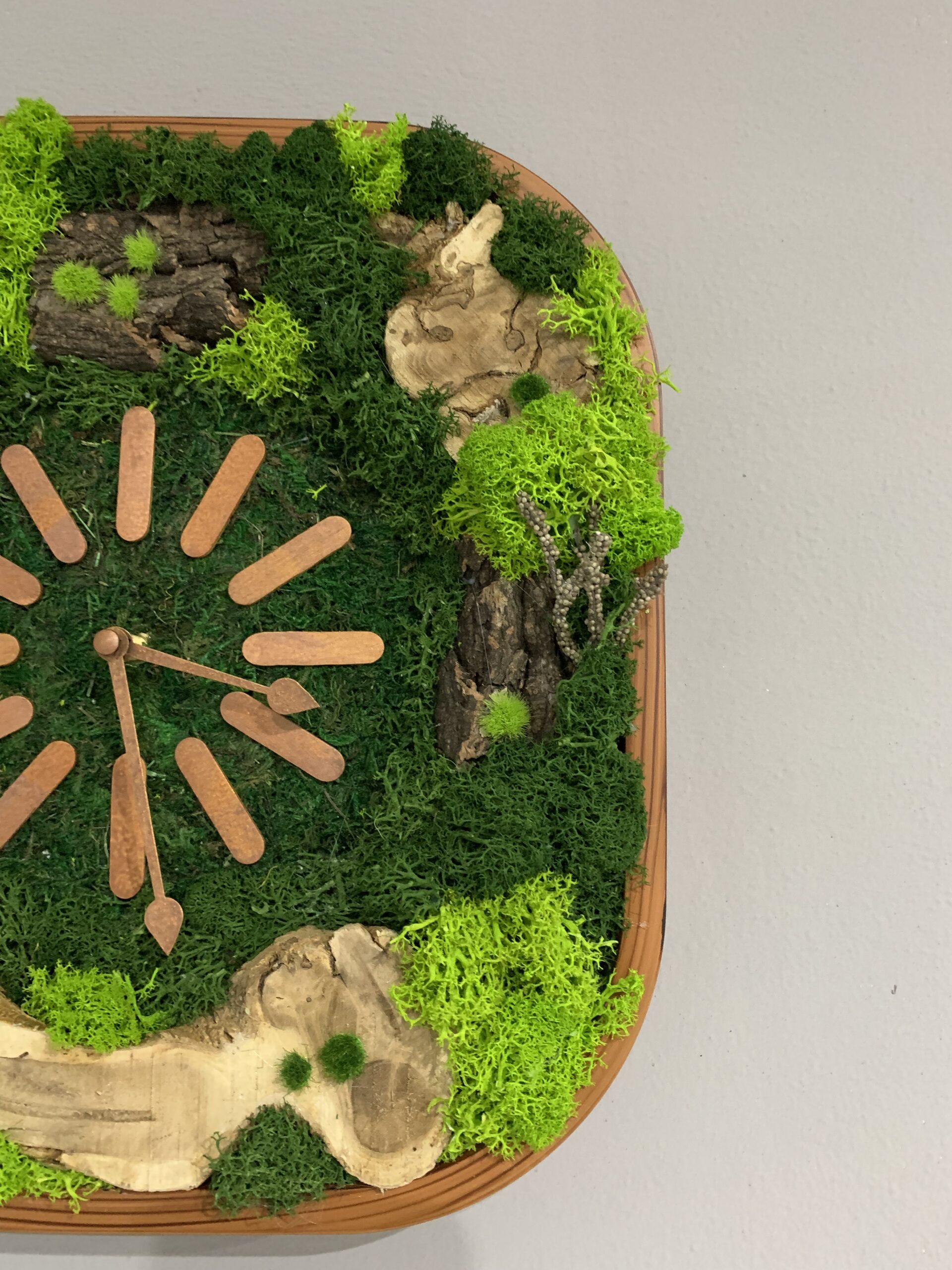 Machové hodiny Bark – Obrázok 3