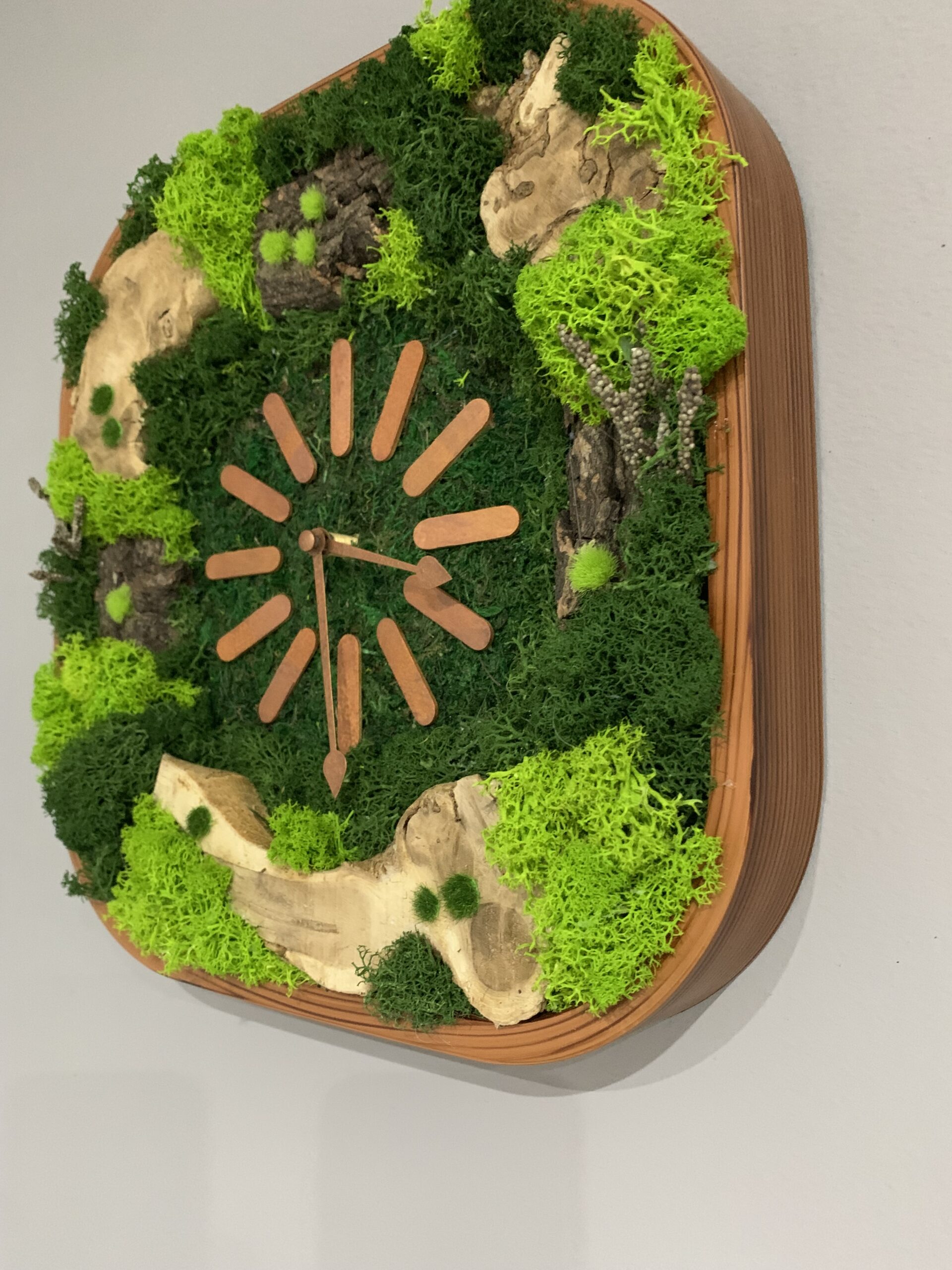 Machové hodiny Bark – Obrázok 4