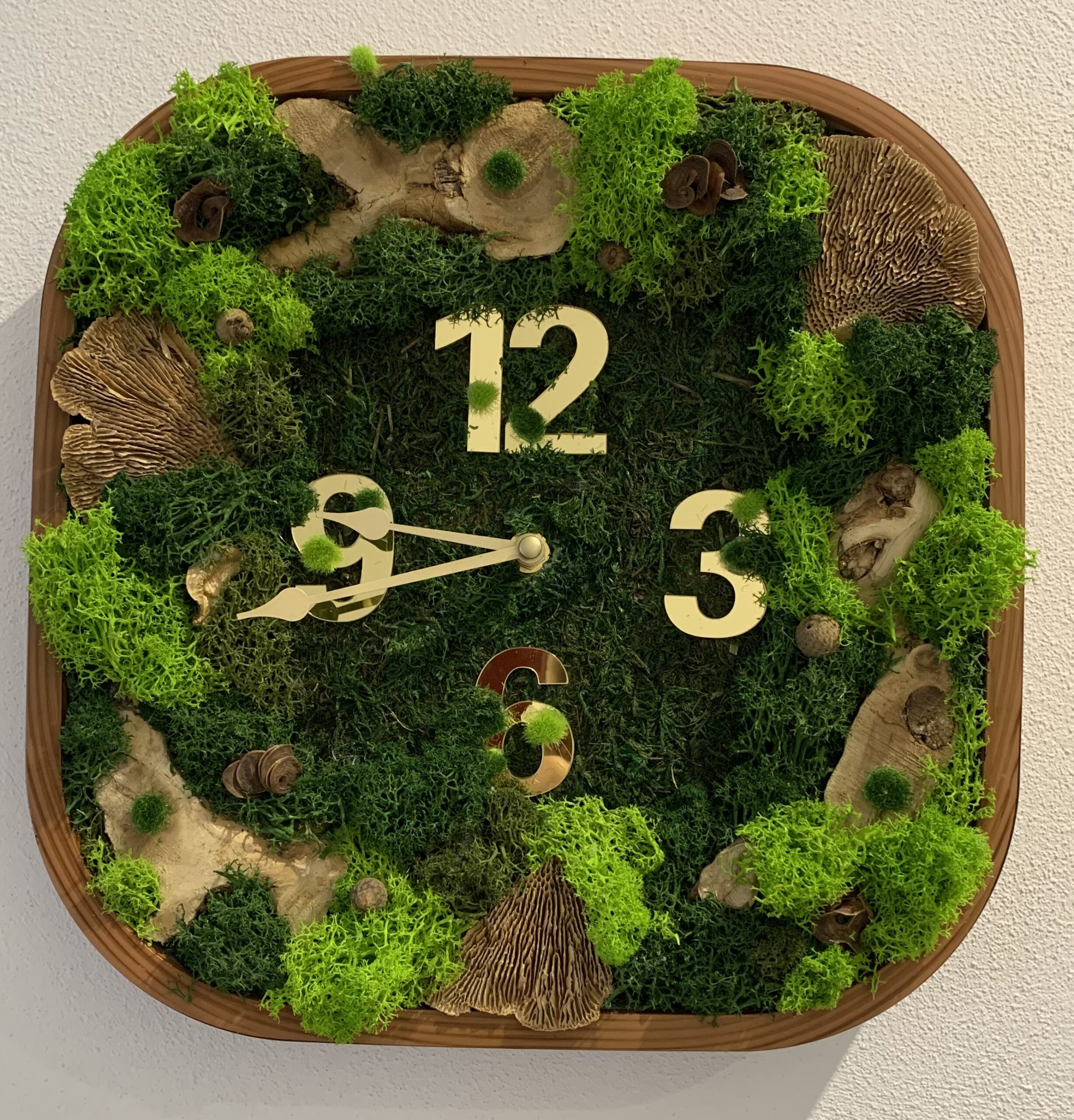 Machové hodiny Nature