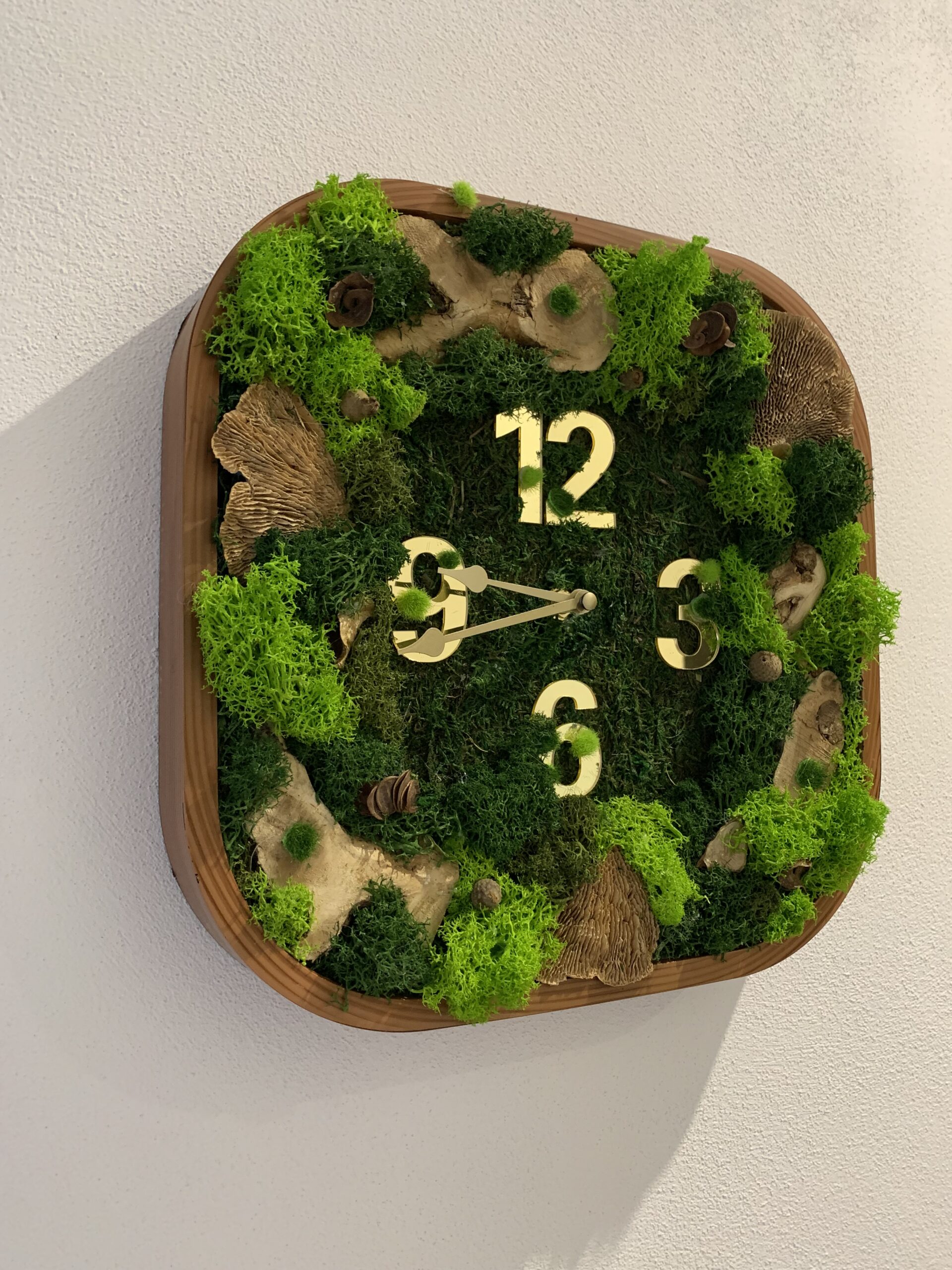 Machové hodiny Nature – Obrázok 2