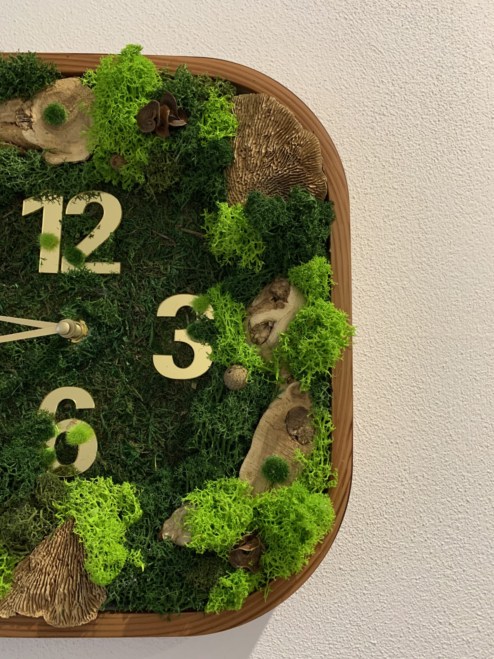 Machové hodiny Nature – Obrázok 3