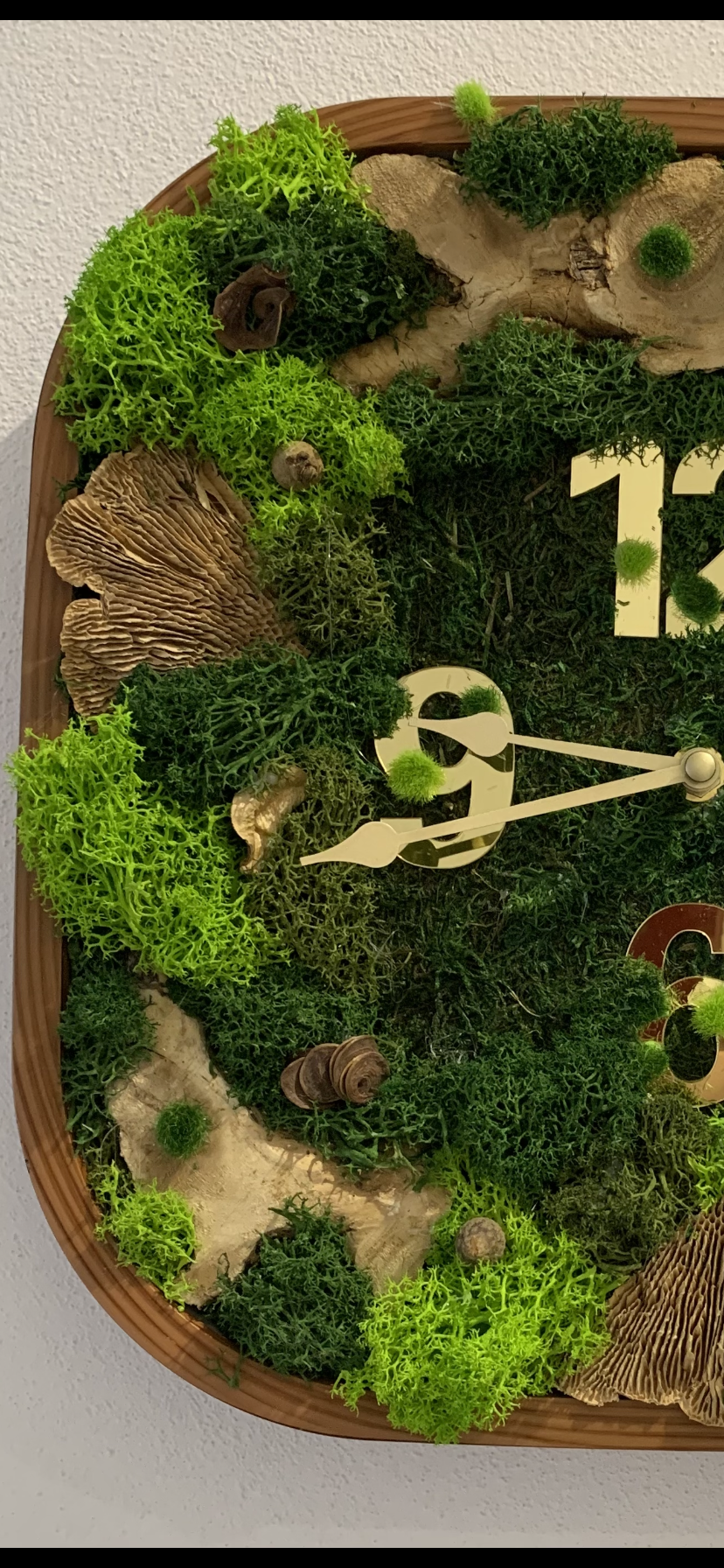 Machové hodiny Nature – Obrázok 4